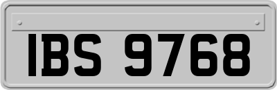 IBS9768