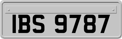 IBS9787