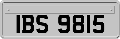 IBS9815