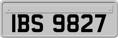 IBS9827