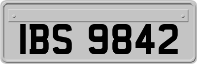 IBS9842