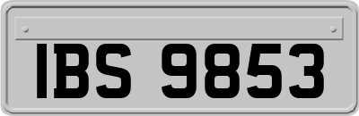 IBS9853