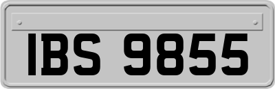 IBS9855