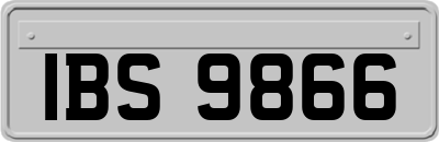 IBS9866