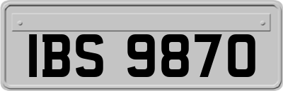 IBS9870