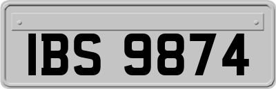 IBS9874