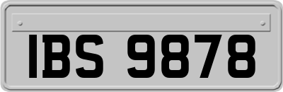 IBS9878