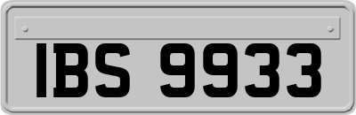 IBS9933