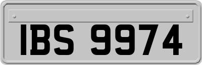 IBS9974