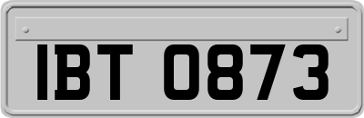 IBT0873