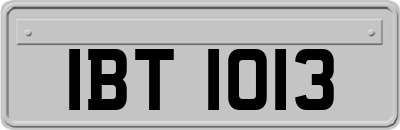 IBT1013