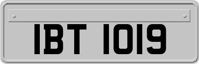 IBT1019