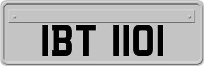 IBT1101