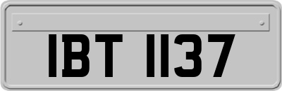 IBT1137