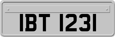 IBT1231