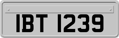 IBT1239