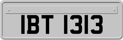 IBT1313