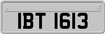 IBT1613