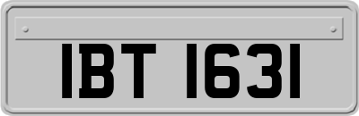 IBT1631