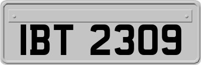 IBT2309