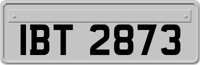 IBT2873