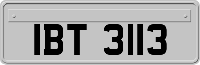 IBT3113