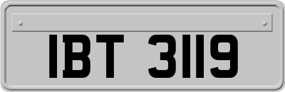 IBT3119