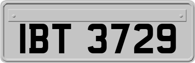 IBT3729