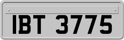 IBT3775