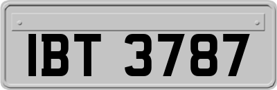 IBT3787
