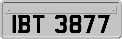 IBT3877