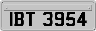 IBT3954