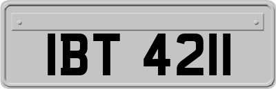 IBT4211