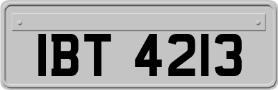 IBT4213
