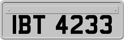 IBT4233