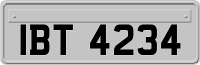 IBT4234