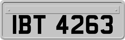 IBT4263
