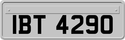 IBT4290
