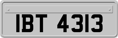 IBT4313