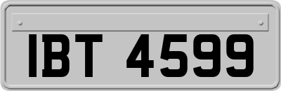 IBT4599