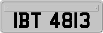 IBT4813