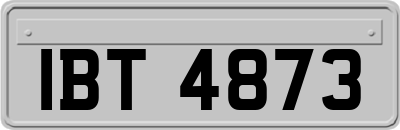 IBT4873