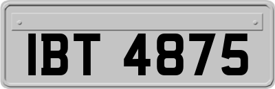 IBT4875