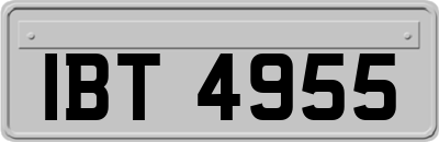 IBT4955