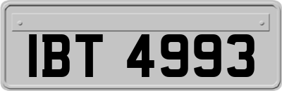 IBT4993