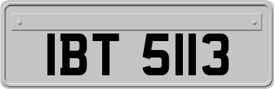 IBT5113