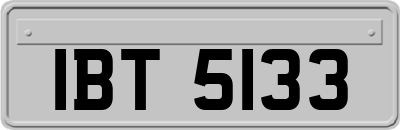 IBT5133