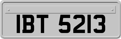 IBT5213