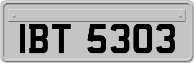 IBT5303