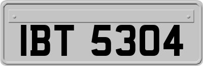 IBT5304